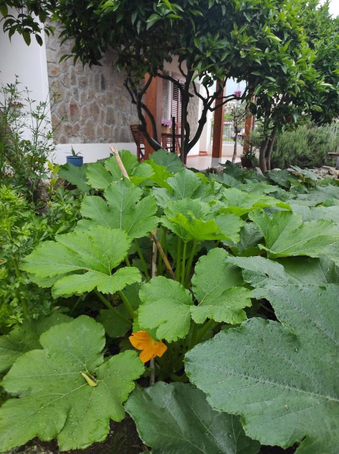 Holiday Home Mennulita Λίπαρι Εξωτερικό φωτογραφία