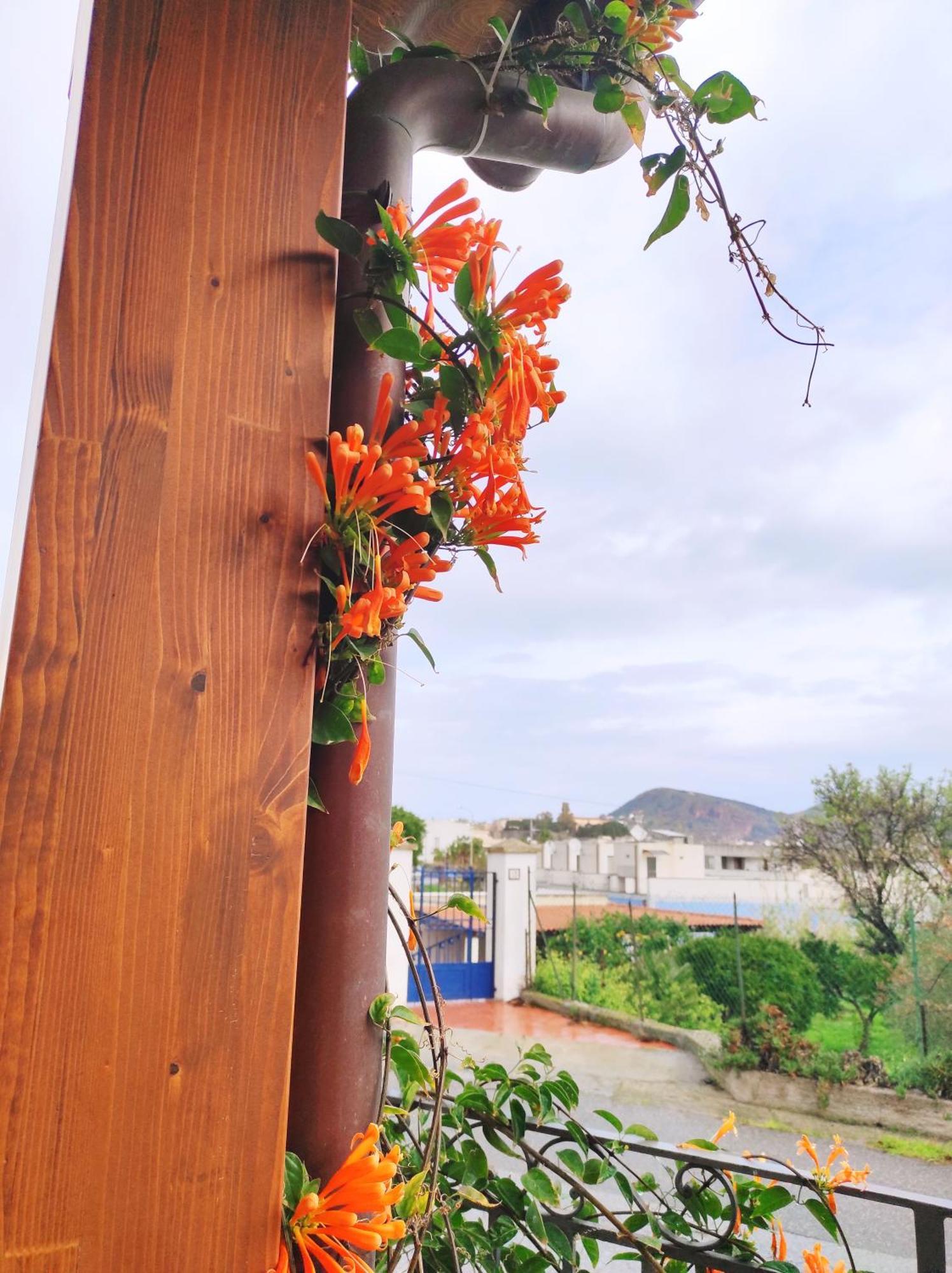 Holiday Home Mennulita Λίπαρι Εξωτερικό φωτογραφία